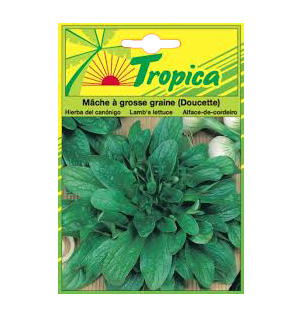 Semence Mâche doucette TROPICA