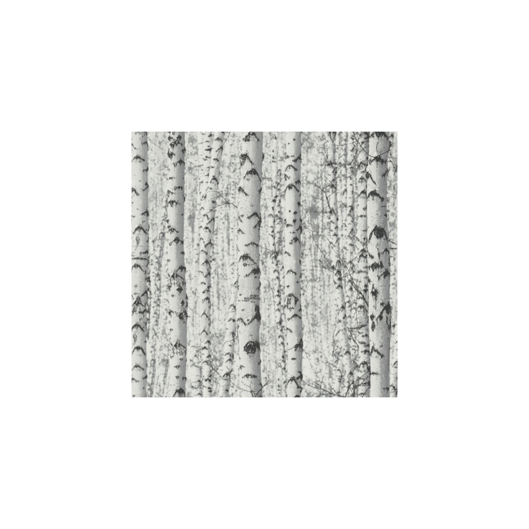 PAPIER PEINT - Motif photo bouleau gris et blanc